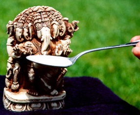 offering milk to statue of Ganesha